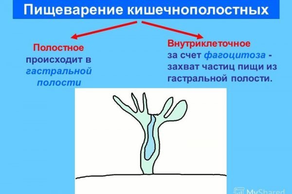 Кракен 16 at