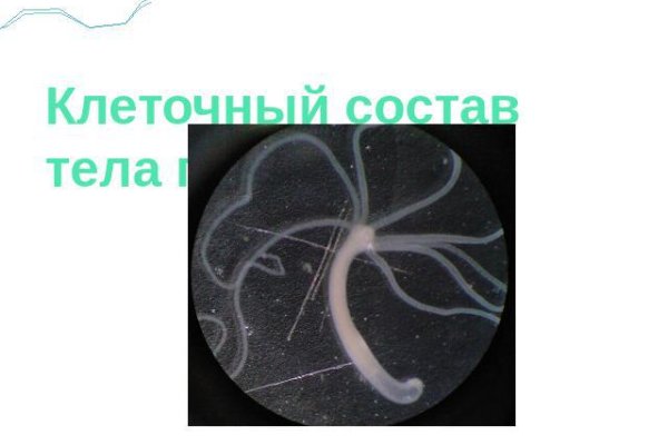 Кракен маркетплейс kr2web in площадка