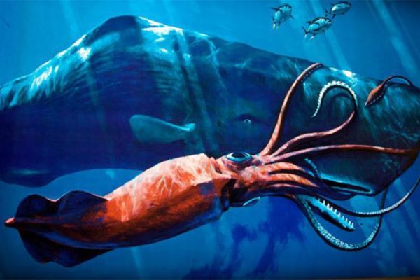 Не работает сайт kraken
