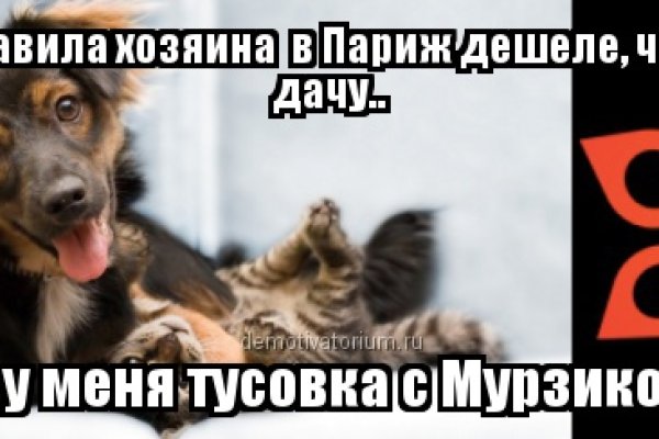 Кракен ссылка onion