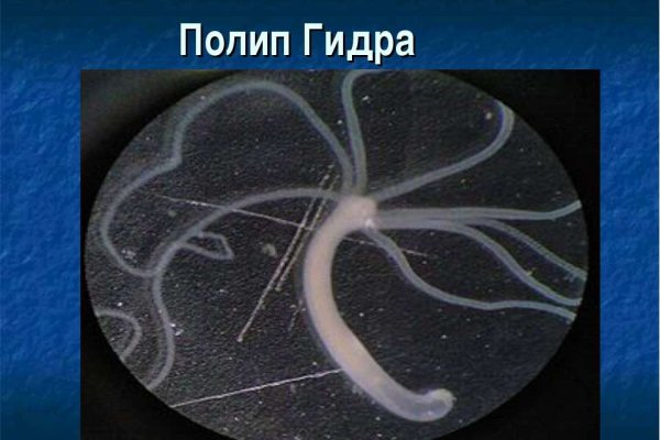 Кракен как зайти ссылка