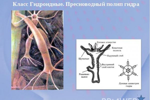 Кракен даркнет store
