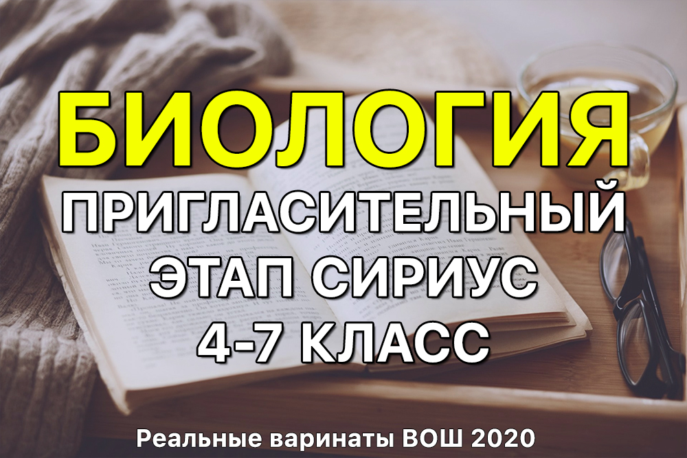Кракен сайт это