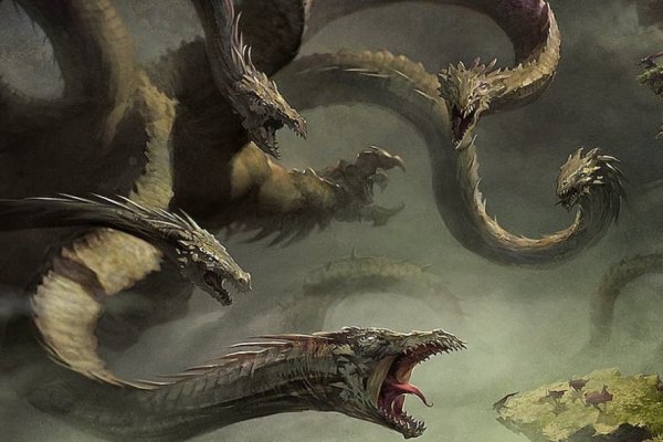 Kraken 12