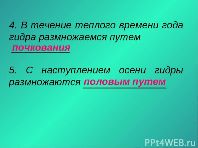 Кракен маркетплейс kr2web in площадка